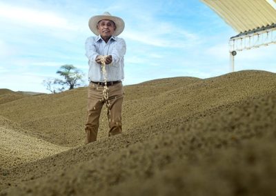 Apoyo a Productores de Maiz y Sorgo 04