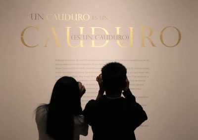 Visita Exposición Cauduro 03