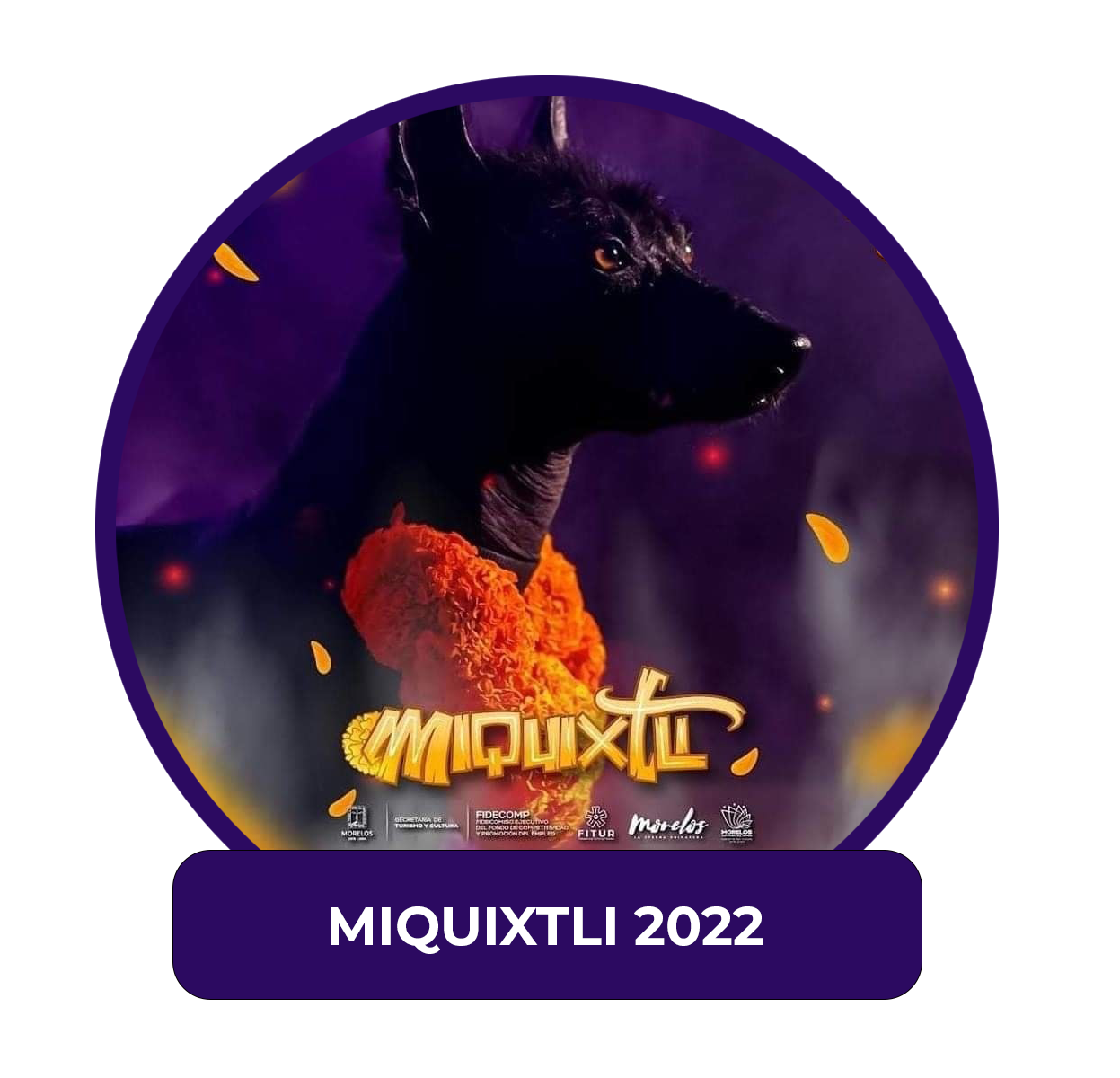 Miquixtli 2022