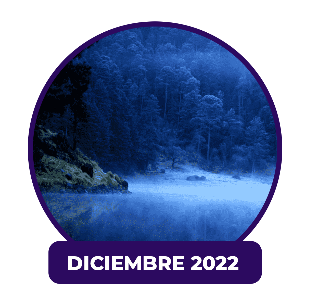 Ocupación Hotelera Diciembre 2022