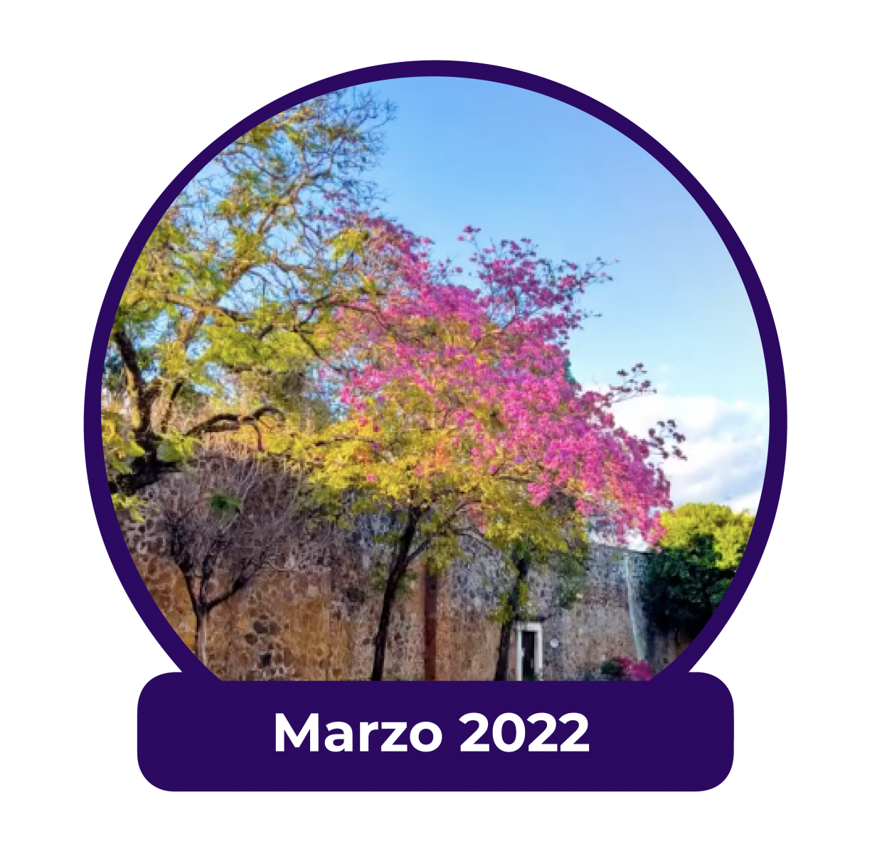 Marzo 2023