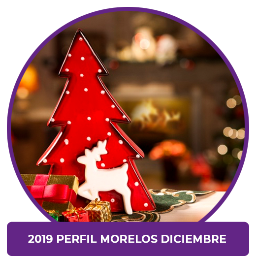 Perfil Morelos Diciembre 2019