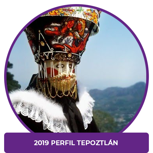 Perfil Tepoztlan 2019