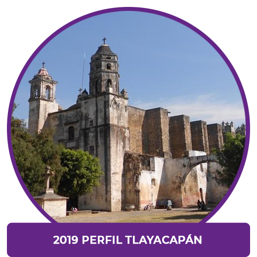 Perfil Tlayacapan 2019