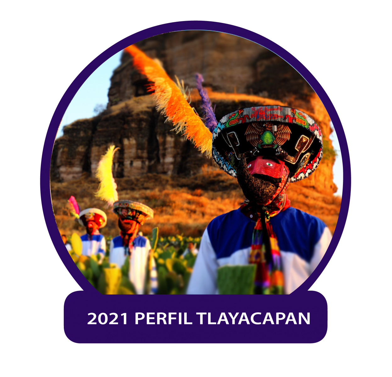 Perfil Tlayacapan 2021